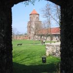 zamek w Toszku
