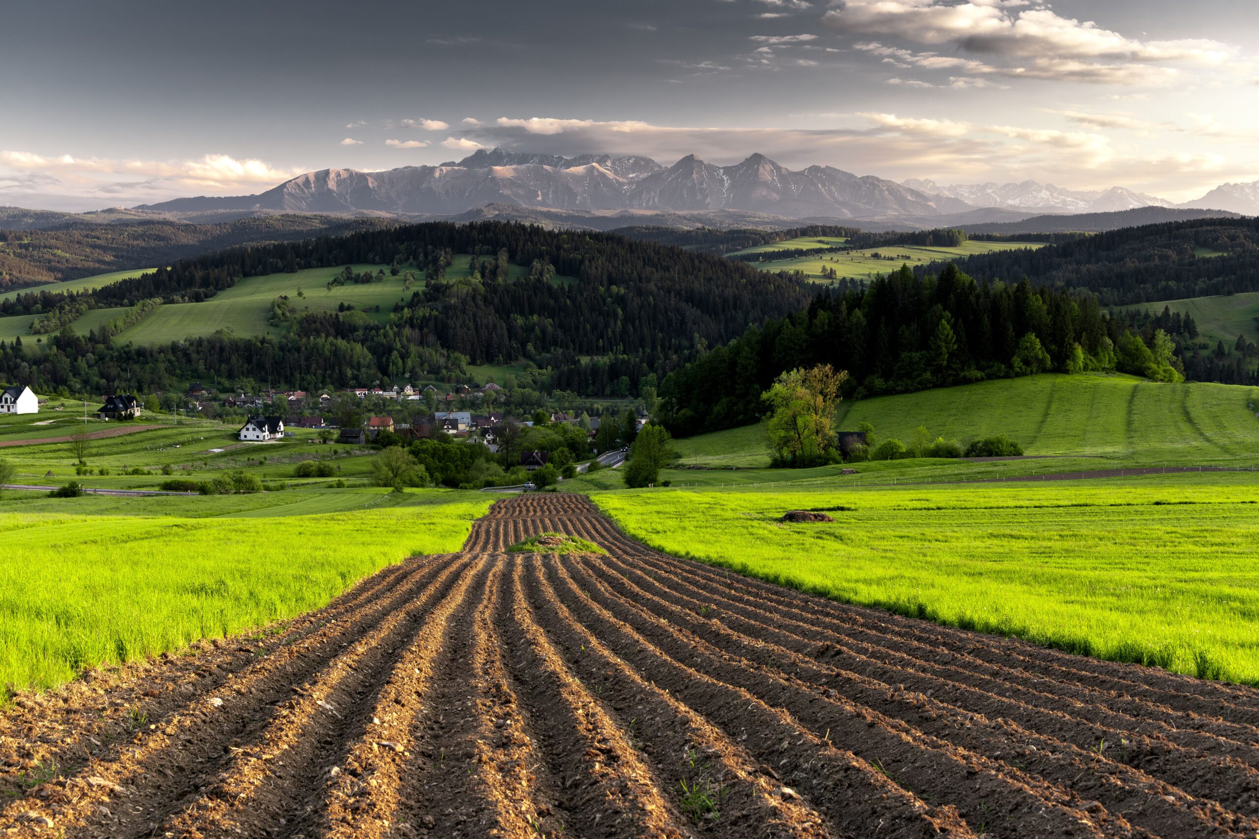 pexels-dawid-zawila-2151273316-32255248